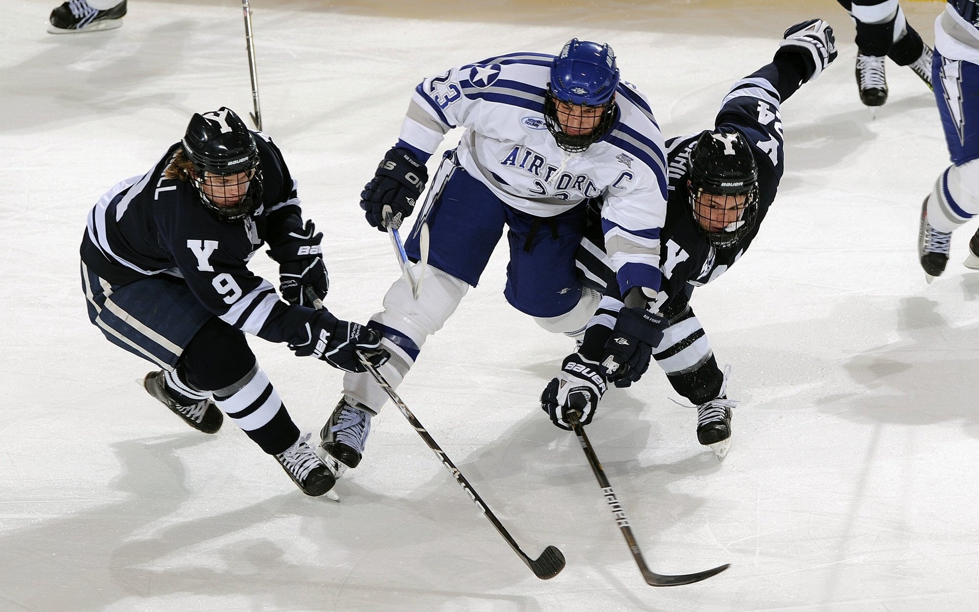 综合格斗赛事人气持续上升